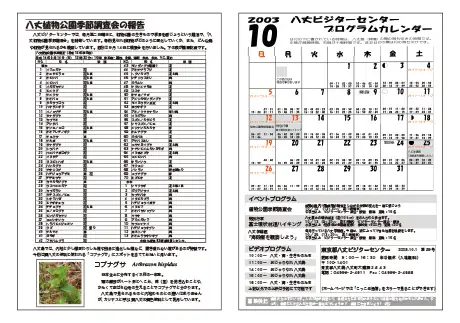 kokkome0310_2