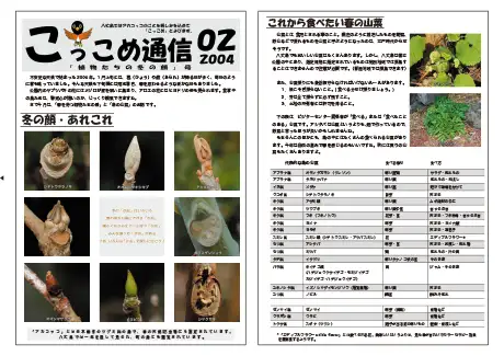 kokkome0402_1