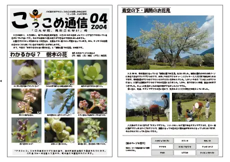 kokkome0404_1