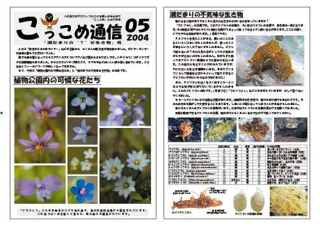 kokkome0405_1