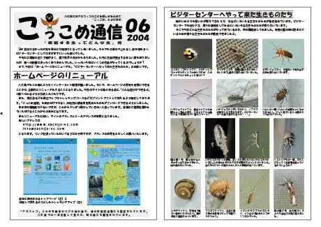 kokkome0406_1