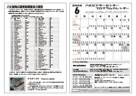 kokkome0406_2