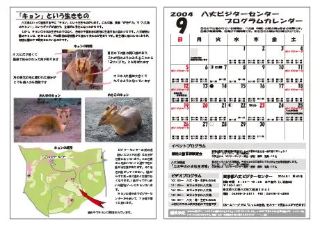 kokkome0409_2