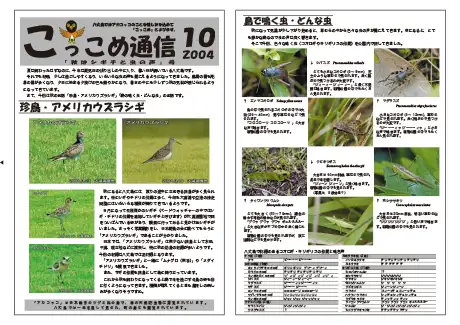 kokkome0410_1
