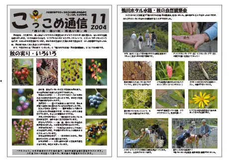 kokkome0411_1