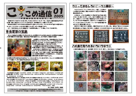 kokkome0501_1