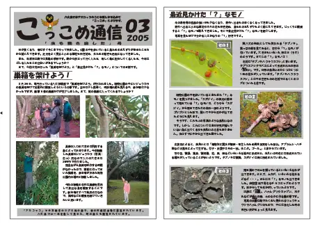 kokkome0503_1