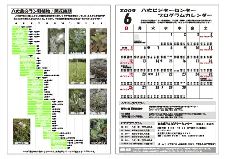 kokkome0506_2