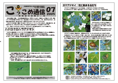 kokkome0507_1