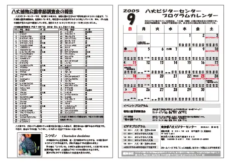 kokkome0509_2