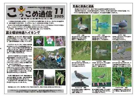 kokkome0511_1