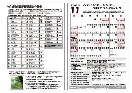 kokkome0511_2