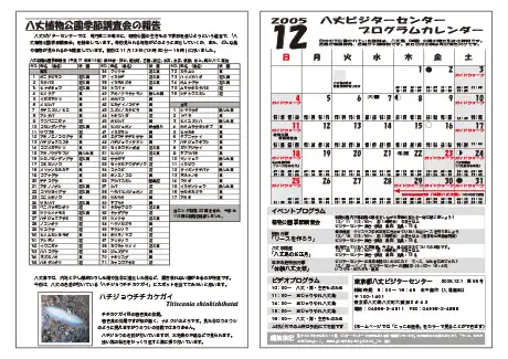 kokkome0512_2