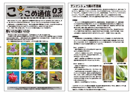 kokkome0703_1