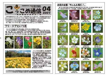 kokkome0704_1