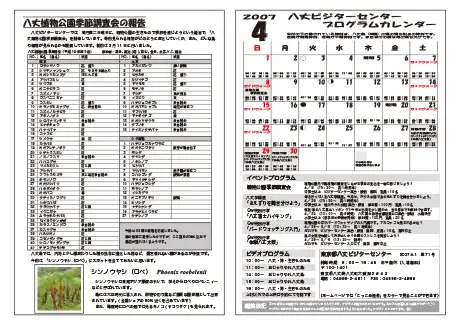 kokkome0704_2