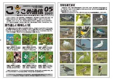 kokkome0705_1