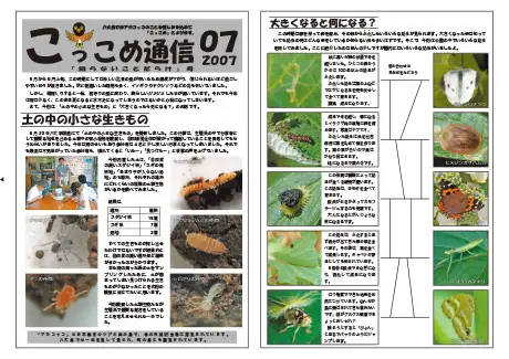 kokkome0707_1