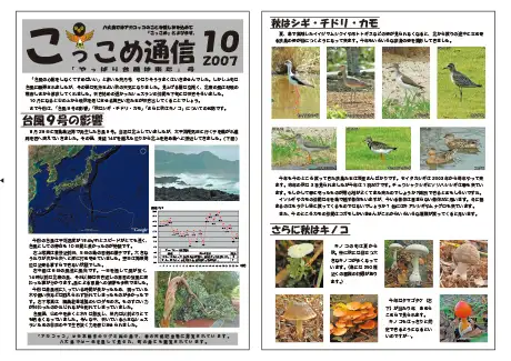 kokkome0710_1