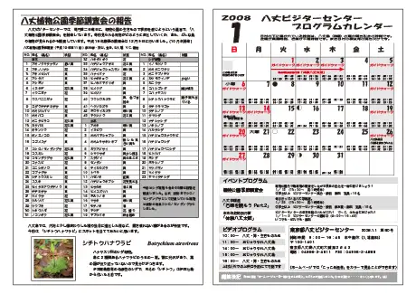 kokkome0801_2