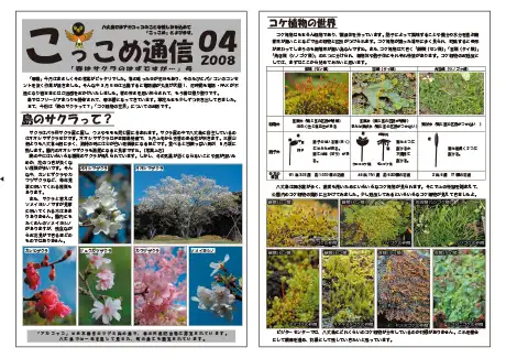 kokkome0804_1