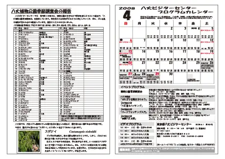 kokkome0804_2