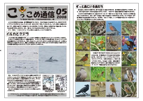 kokkome0805_1