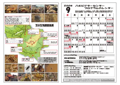 kokkome0809_2