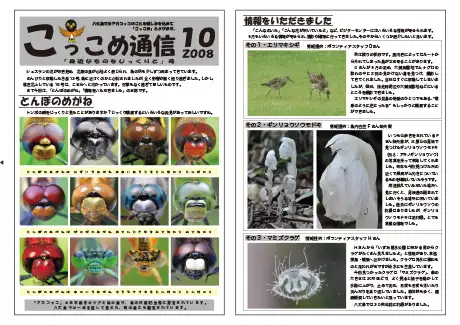 kokkome0810_1