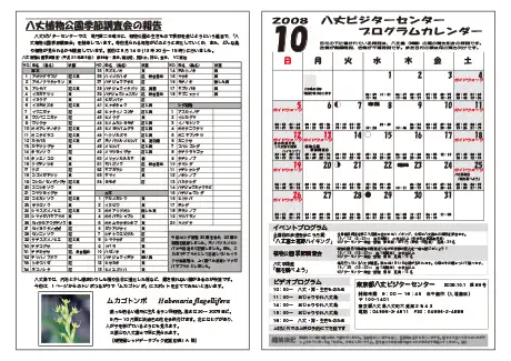 kokkome0810_2