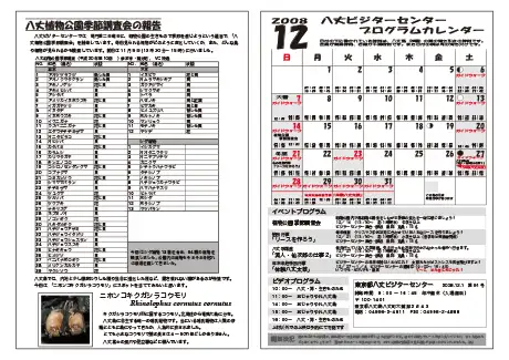 kokkome0812_2