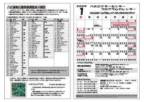 kokkome0901_2