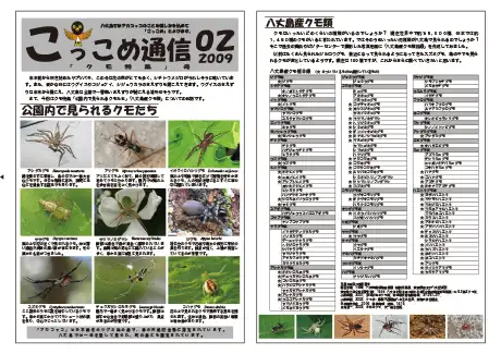 kokkome0902_1