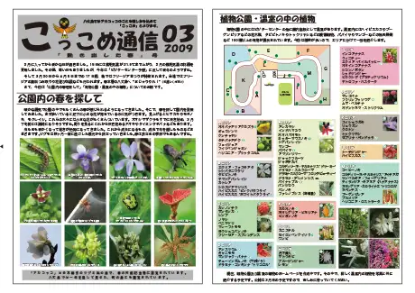 kokkome0903_1