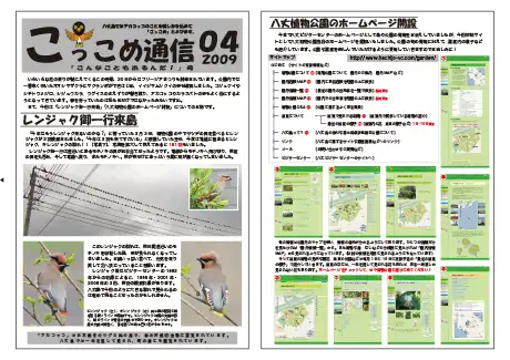 kokkome0904_1