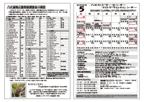kokkome0905_2