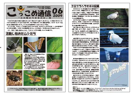 kokkome0906_1