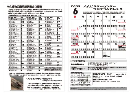 kokkome0906_2