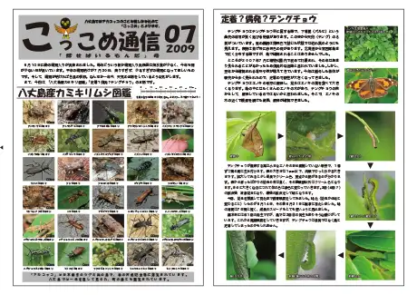 kokkome0907_1