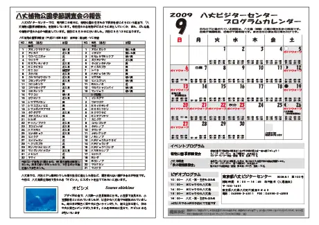 kokkome0909_2