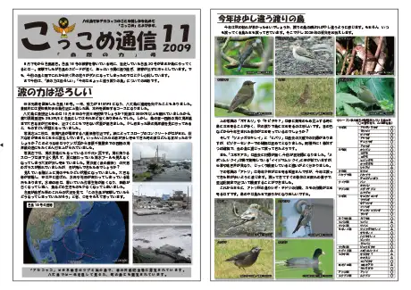 kokkome0911_1