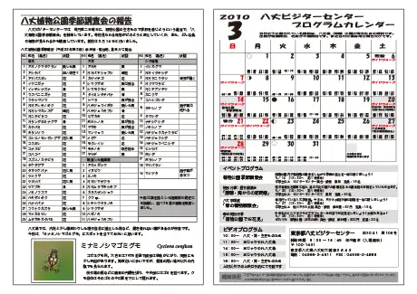 kokkome1003_2