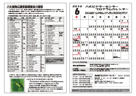 kokkome1006_2