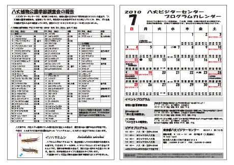 kokkome1007_2
