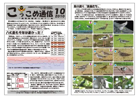 kokkome1010_1