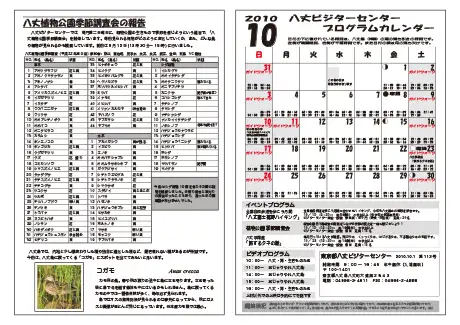 kokkome1010_2