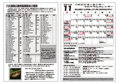 kokkome1011_2