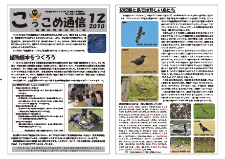 kokkome1012_1