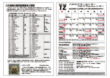 kokkome1012_2
