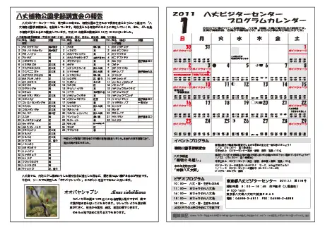 kokkome1101_2